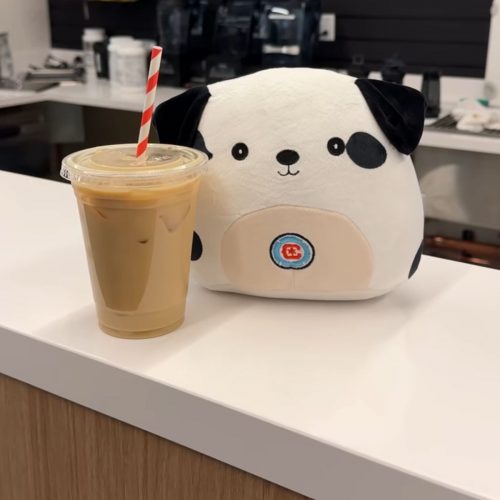 Chicago Fire Custom Dalmation Plush - Coffee with Sparky