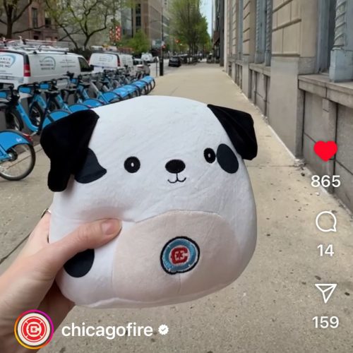 Chicago Fire Custom Dalmation Plush - Spend a Day with Sparky