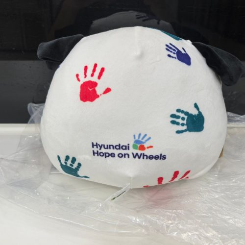 Hope on Wheels Custom Plush Back
